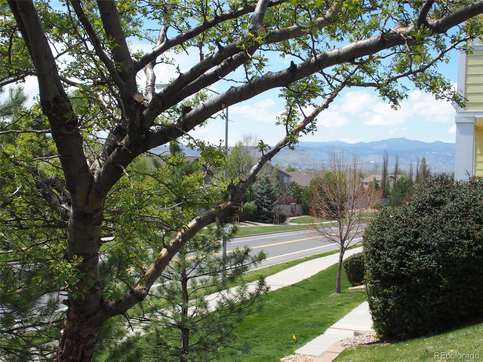 10290 West 55th Lane, Unit 4 Arvada, CO 80002 - Photo 18 of 18