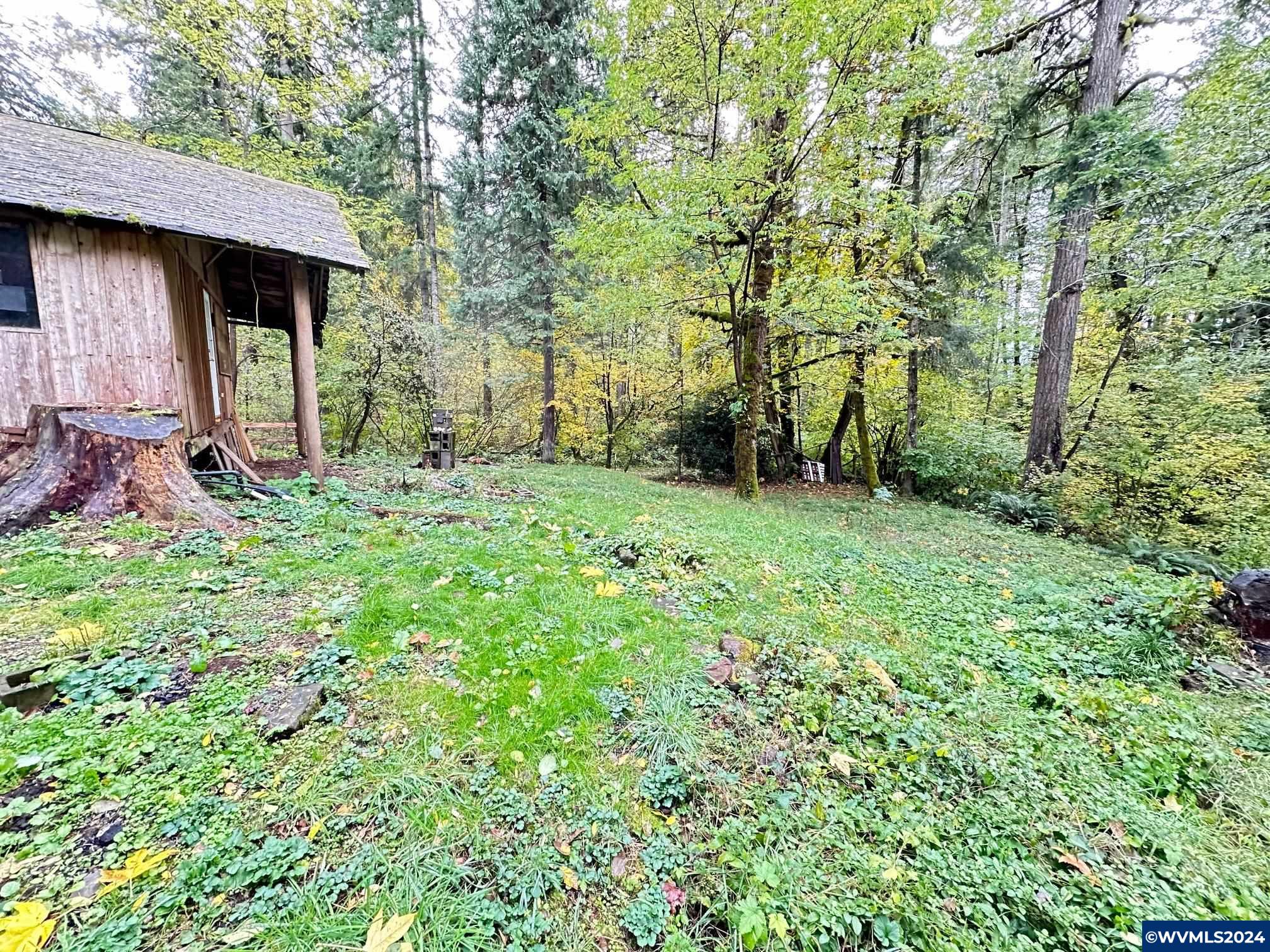 0 Abiqua Road Scotts Mills, OR 97375 - Photo 5 of 12