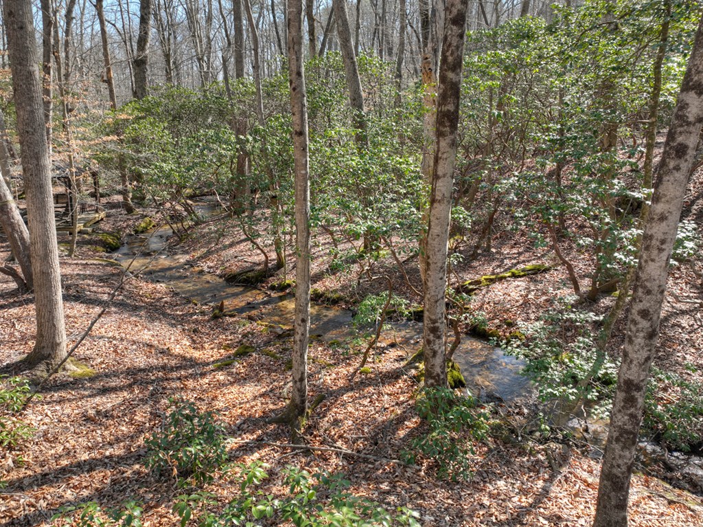811 Mangum's Trail Blue Ridge, GA 30513 - Photo 27 of 70