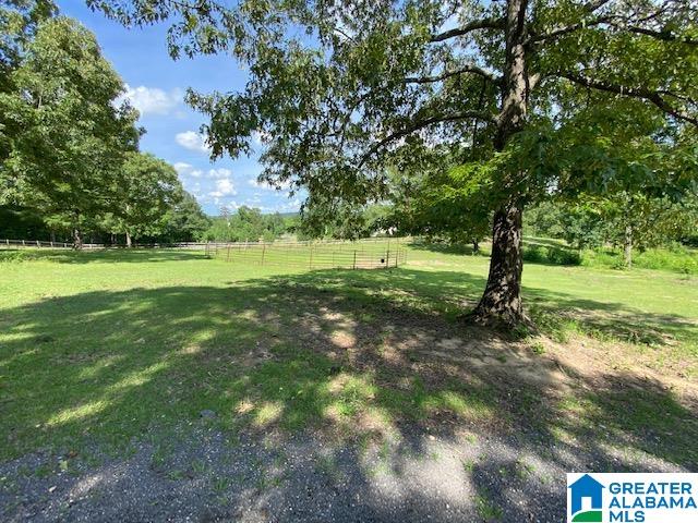 1790 Pleasant Valley Road Odenville, AL 35120 - Photo 38 of 46 Gallery Image 38