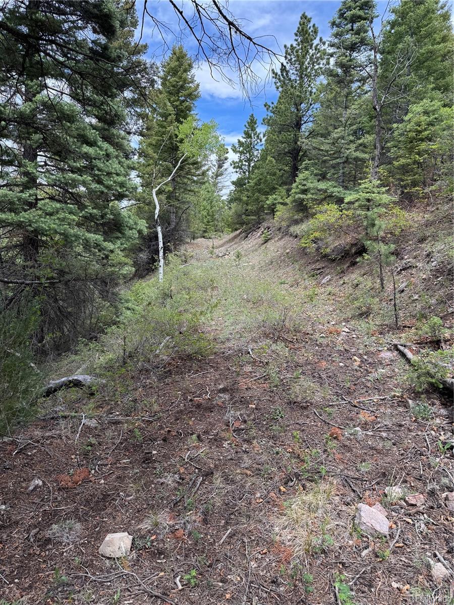 Knotty Pine Road Salida, CO 81201 - Photo 14 of 42 Gallery Image 14