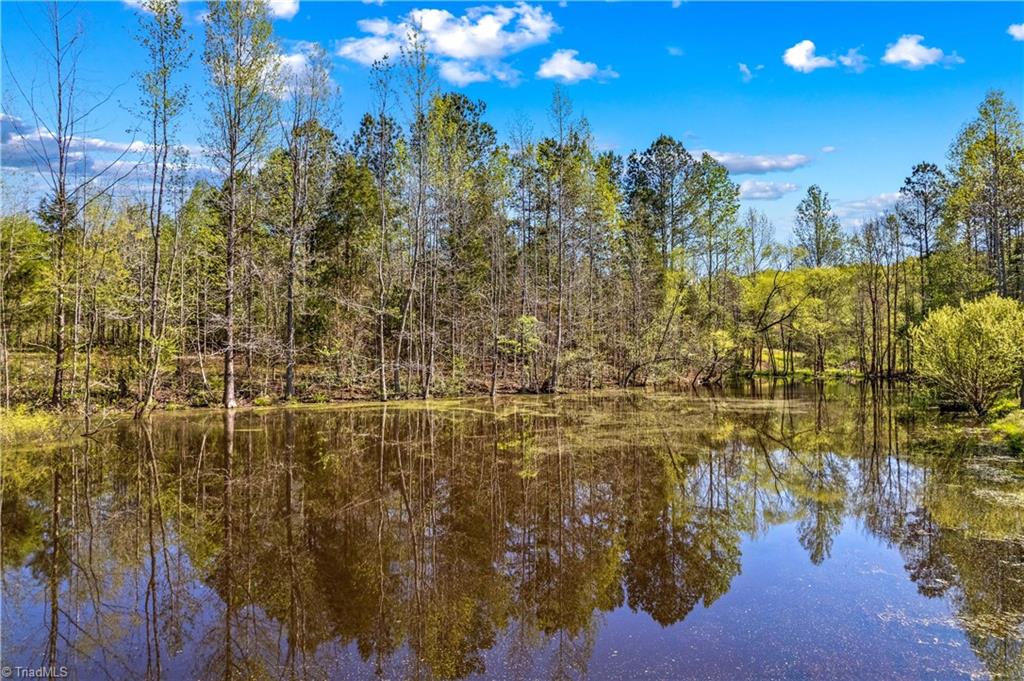 927 Smith Road Lexington, NC 27292 - Photo 43 of 50 Gallery Image 43