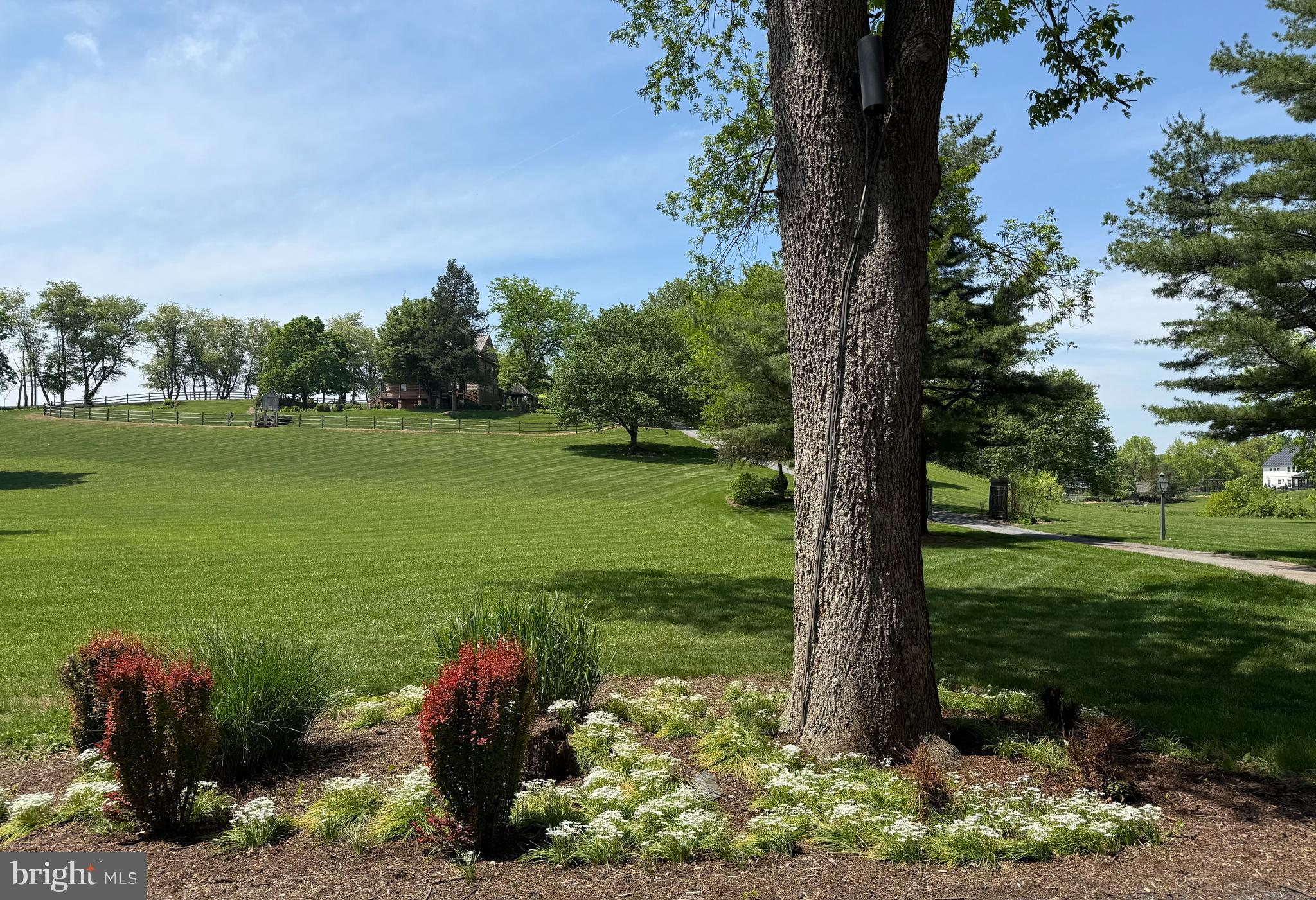 3646 Meadow View Road Manheim, PA 17545 - Photo 46 of 56 a view of a garden with a lake