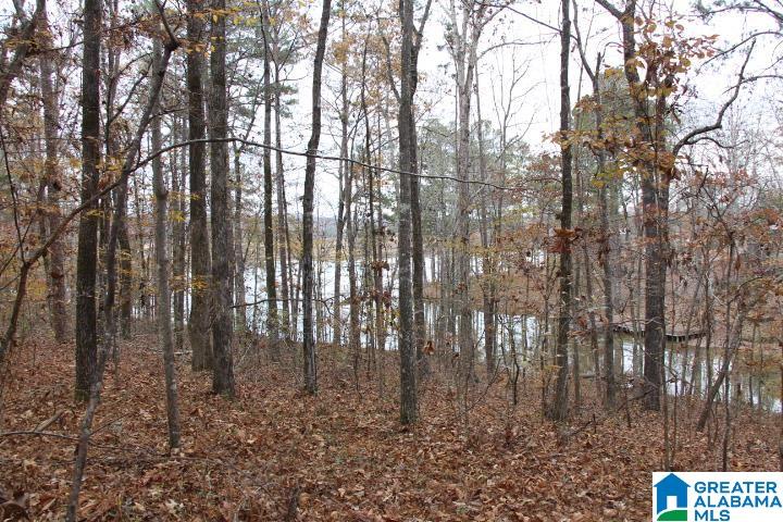77 Rd Ohatchee, AL 36271 - Photo 5 of 24