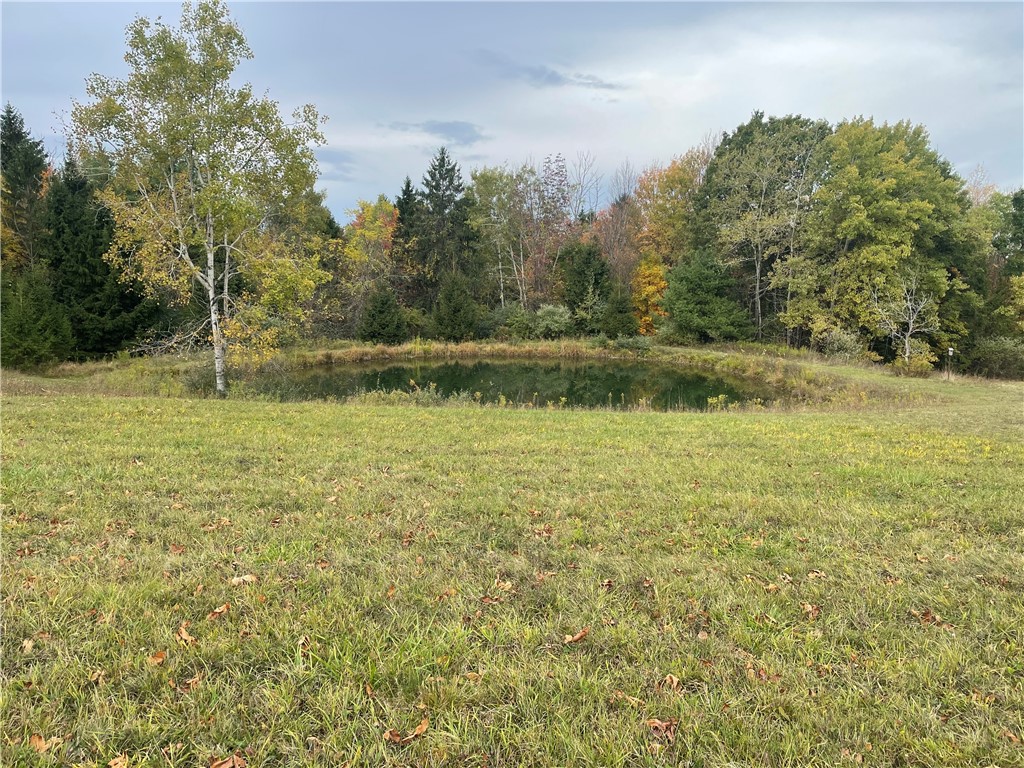 5101 Losey Hill Road Tyrone, NY 14837 - Photo 22 of 24