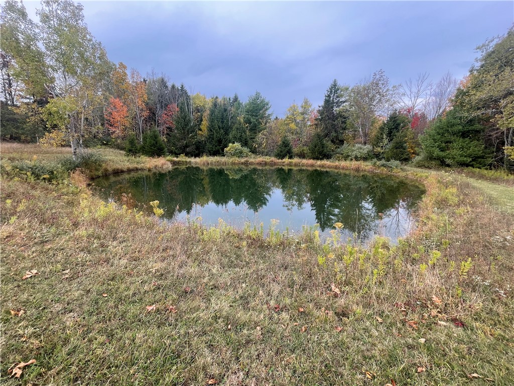 5101 Losey Hill Road Tyrone, NY 14837 - Photo 23 of 24