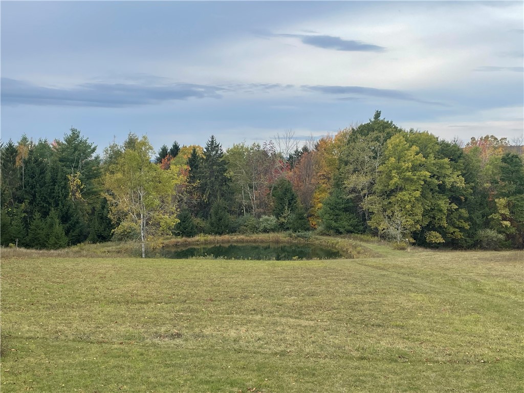 5101 Losey Hill Road Tyrone, NY 14837 - Photo 6 of 24