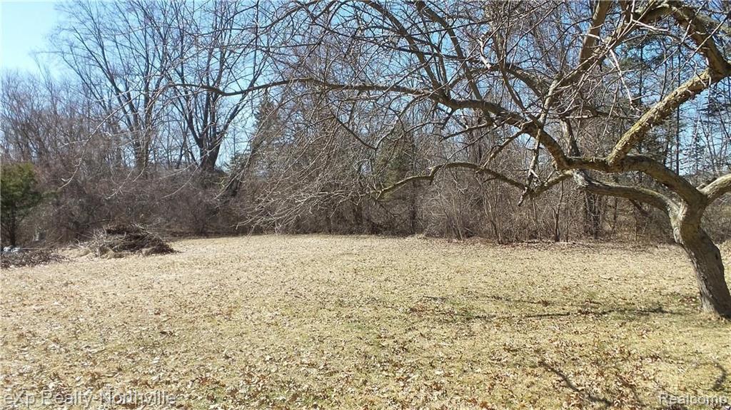 27601 Northline Road Romulus, MI 48174 - Photo 26 of 48