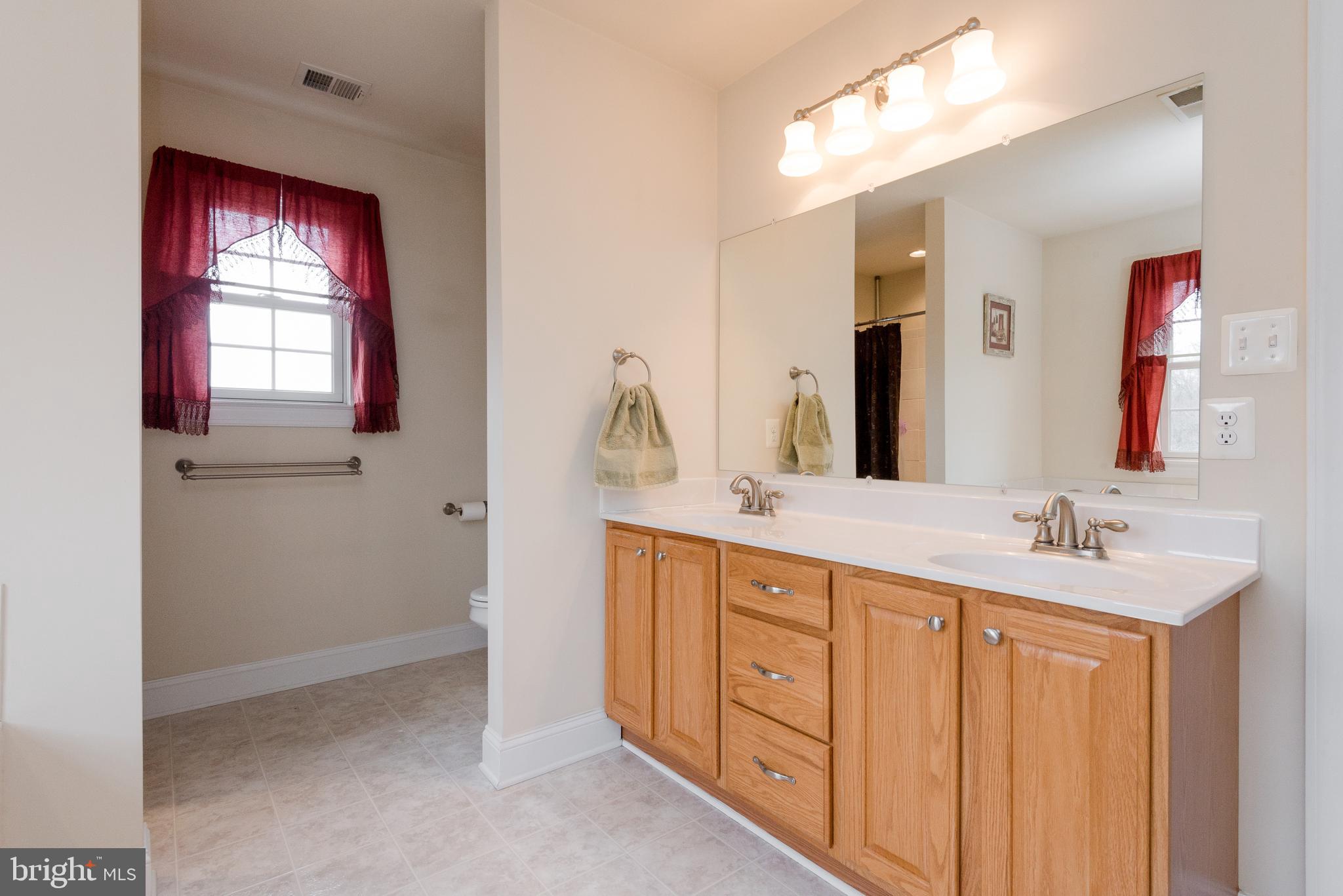822 Duhamel Corner Road Marydel, MD 21649 - Photo 37 of 63 Master bath