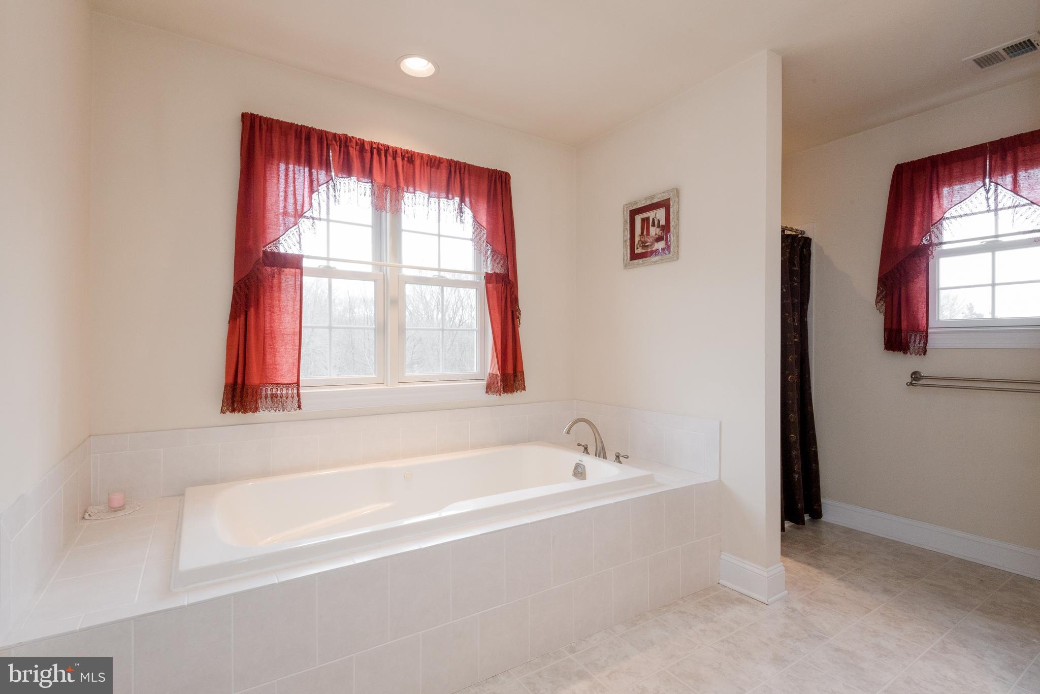 822 Duhamel Corner Road Marydel, MD 21649 - Photo 41 of 63 Garden tub