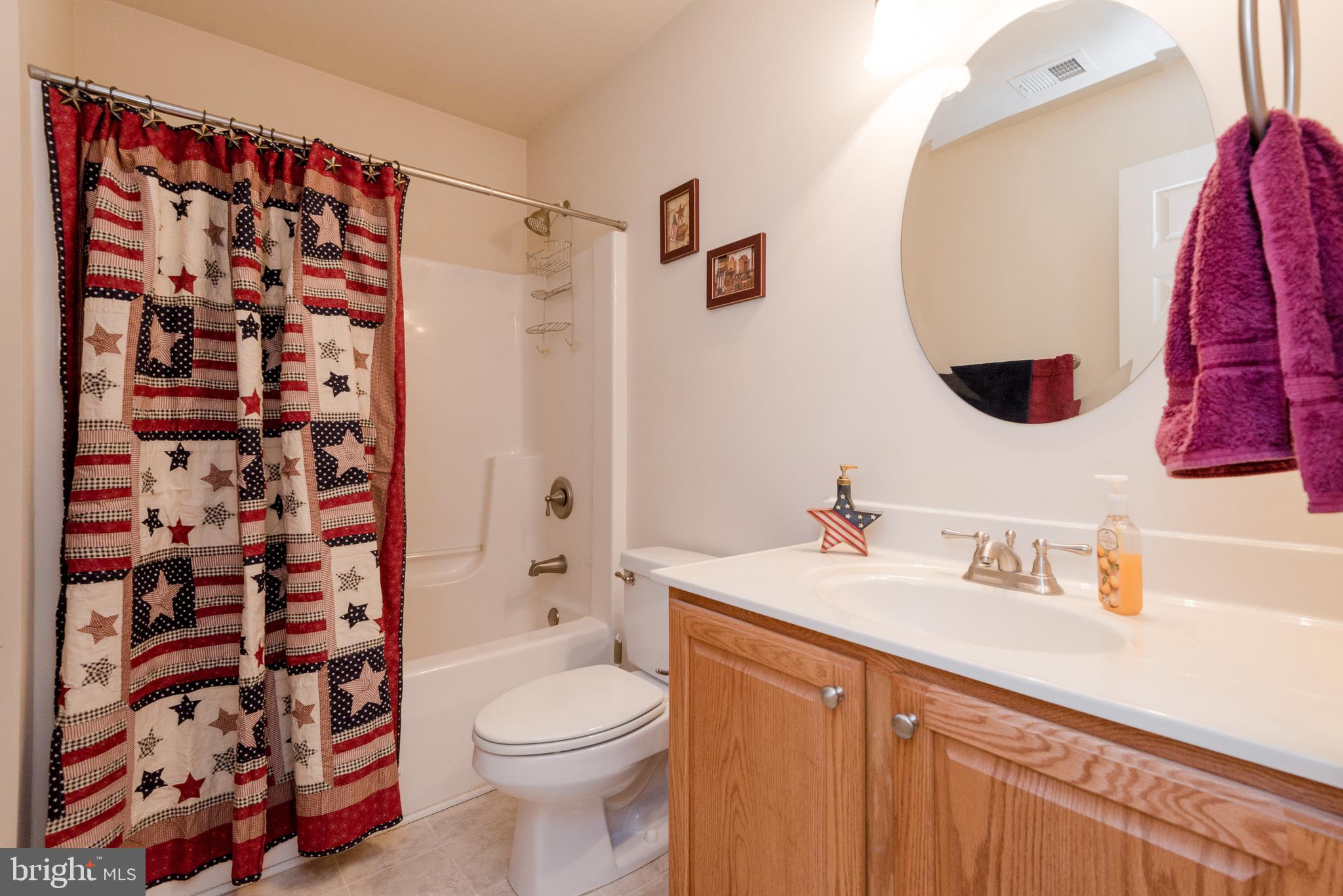 822 Duhamel Corner Road Marydel, MD 21649 - Photo 45 of 63 Bathroom