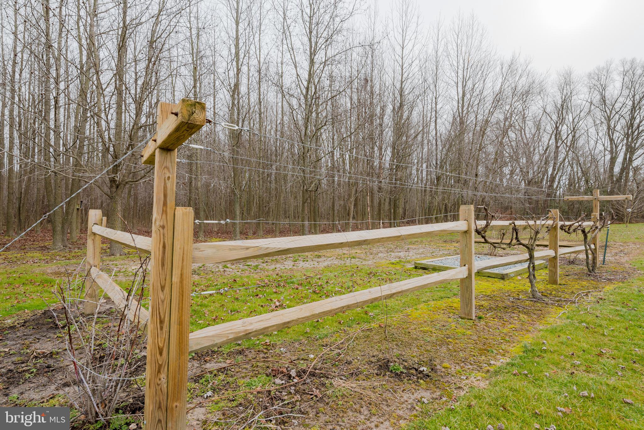822 Duhamel Corner Road Marydel, MD 21649 - Photo 60 of 63 Garden