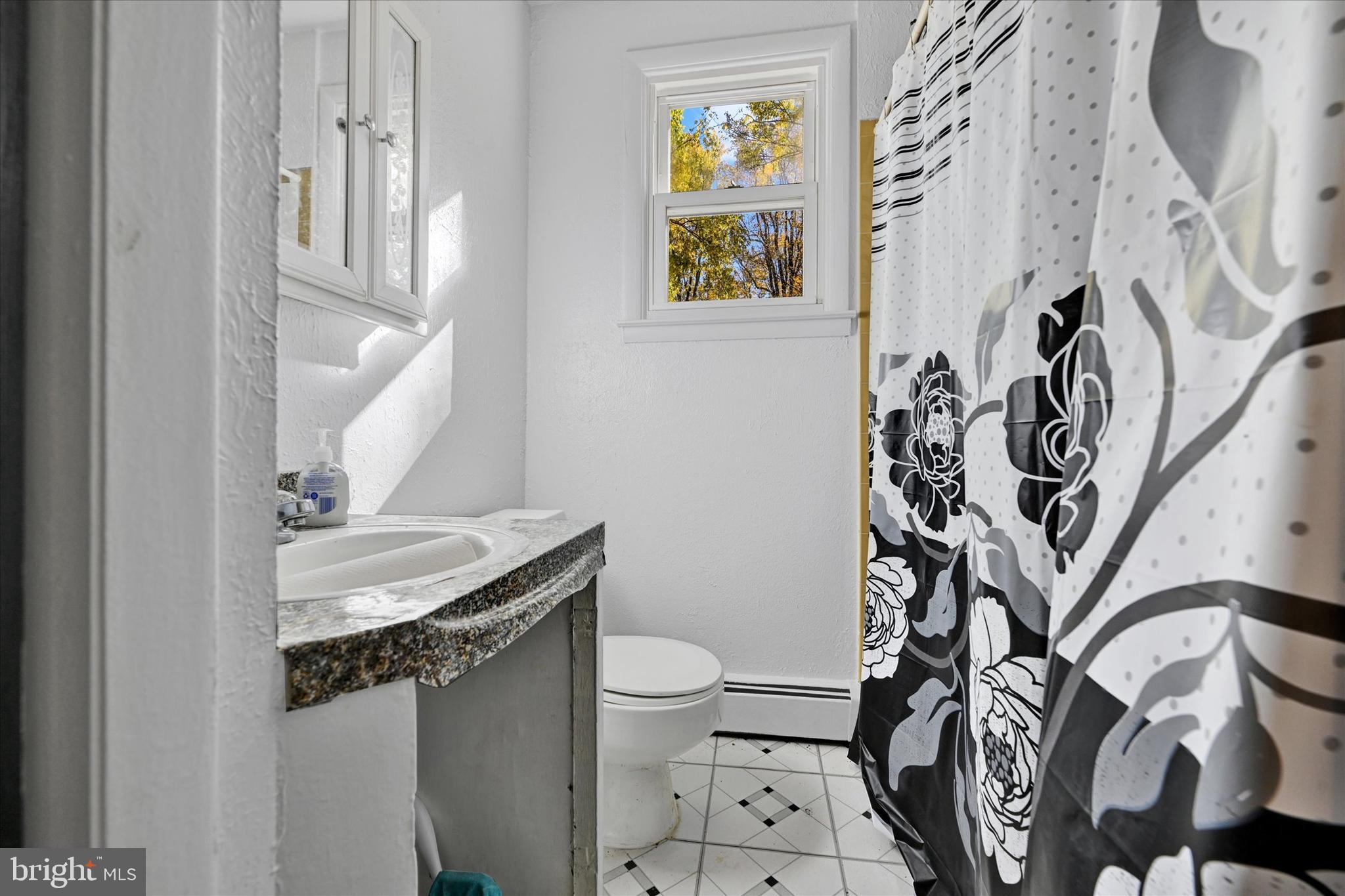 1321 Rustic Avenue Baltimore, MD 21237 - Photo 17 of 28 a bathroom with a granite countertop sink and a toilet