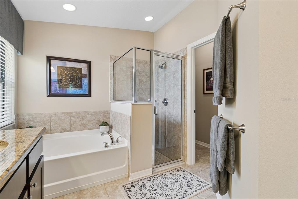 6601 Sparkling Way Wesley Chapel, FL 33545 - Photo 22 of 51