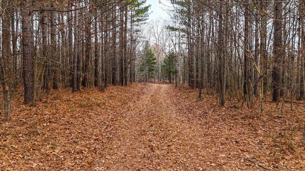 234 Rolling Hills Road Skipwith, VA 23968 - Photo 28 of 36 Gallery Image 28
