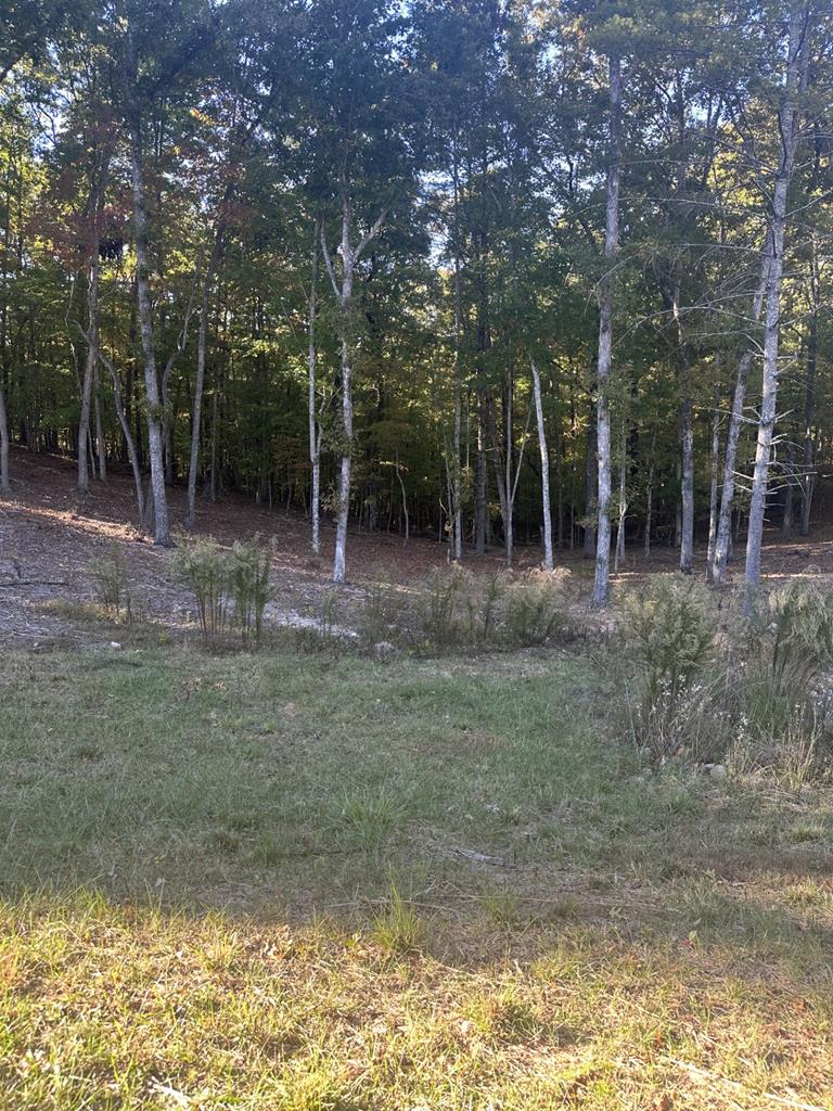 Lot 42 Ridge Drive Morganton, GA 30560 - Photo 1 of 27 Main View