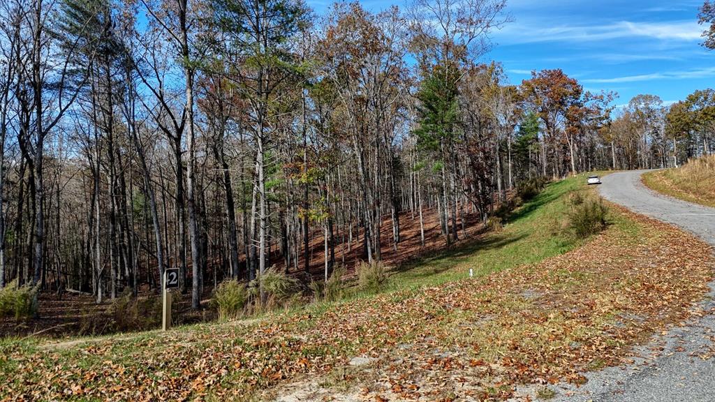 Lot 42 Ridge Drive Morganton, GA 30560 - Photo 11 of 27