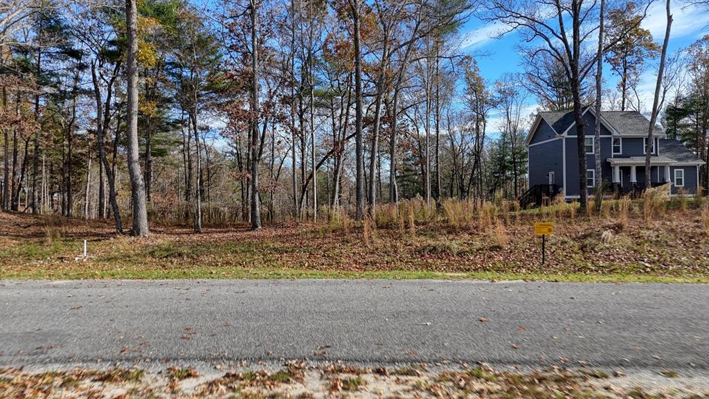 Lot 42 Ridge Drive Morganton, GA 30560 - Photo 12 of 27