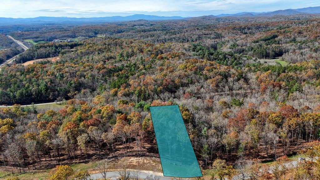 Lot 42 Ridge Drive Morganton, GA 30560 - Photo 13 of 27