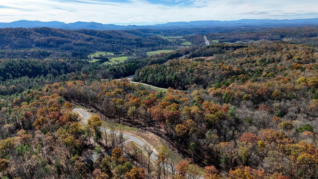 Lot 42 Ridge Drive Morganton, GA 30560 - Photo 15 of 27