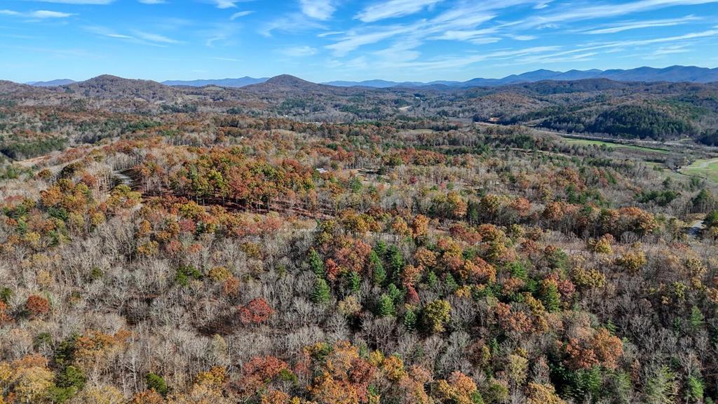 Lot 42 Ridge Drive Morganton, GA 30560 - Photo 16 of 27
