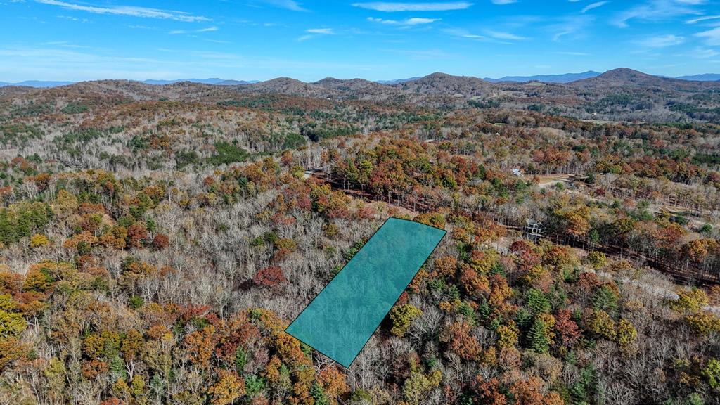 Lot 42 Ridge Drive Morganton, GA 30560 - Photo 17 of 27