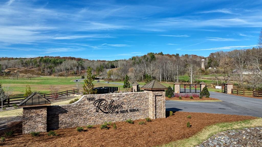 Lot 42 Ridge Drive Morganton, GA 30560 - Photo 19 of 27