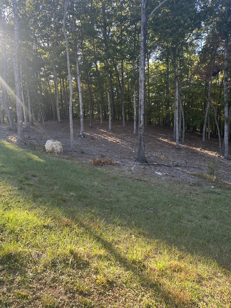 Lot 42 Ridge Drive Morganton, GA 30560 - Photo 2 of 27