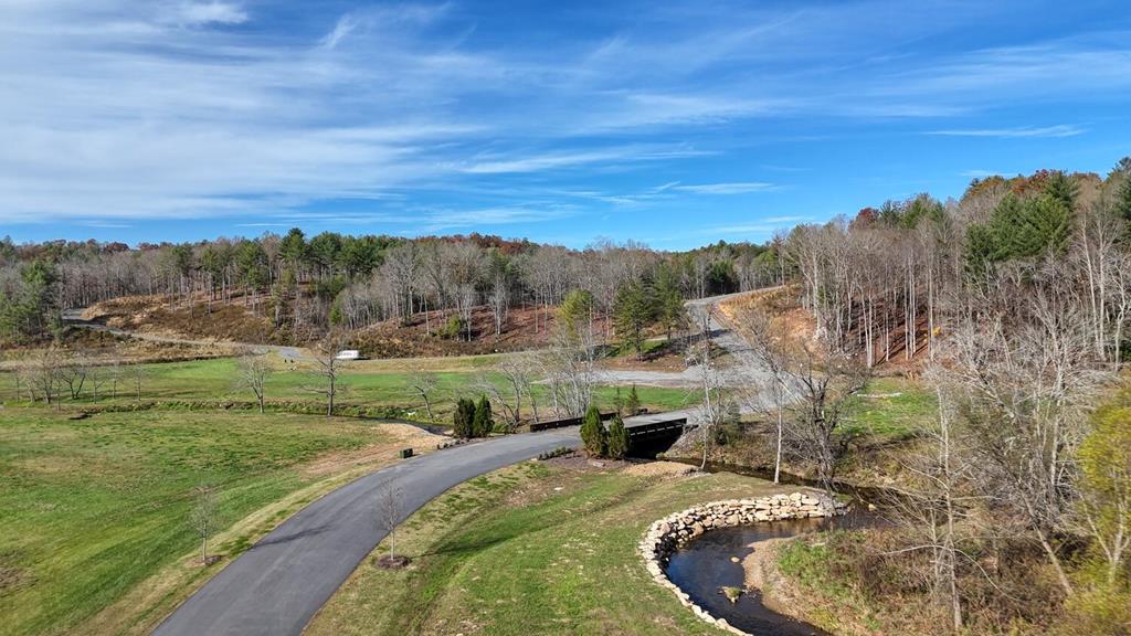 Lot 42 Ridge Drive Morganton, GA 30560 - Photo 23 of 27