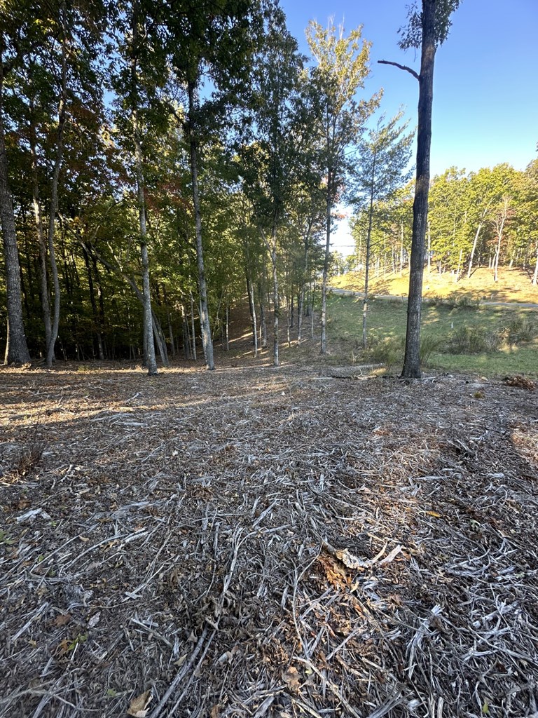 Lot 42 Ridge Drive Morganton, GA 30560 - Photo 3 of 27