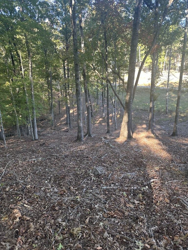 Lot 42 Ridge Drive Morganton, GA 30560 - Photo 4 of 27