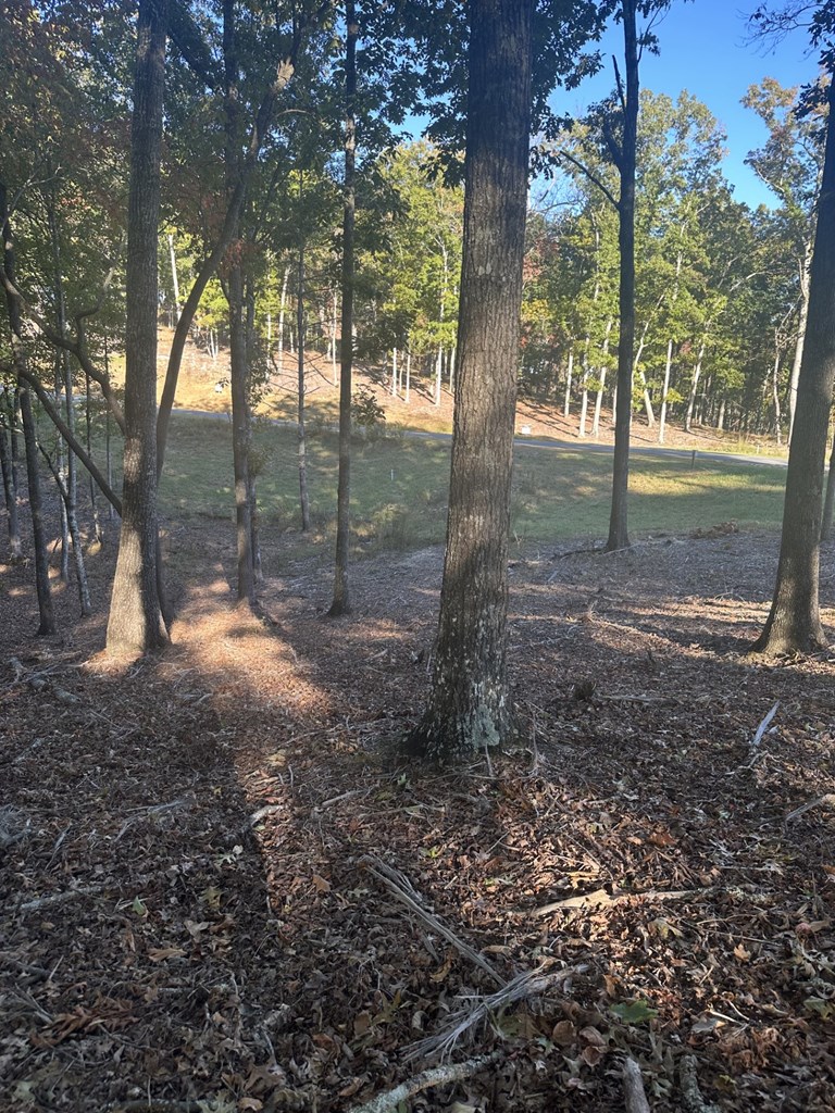 Lot 42 Ridge Drive Morganton, GA 30560 - Photo 5 of 27