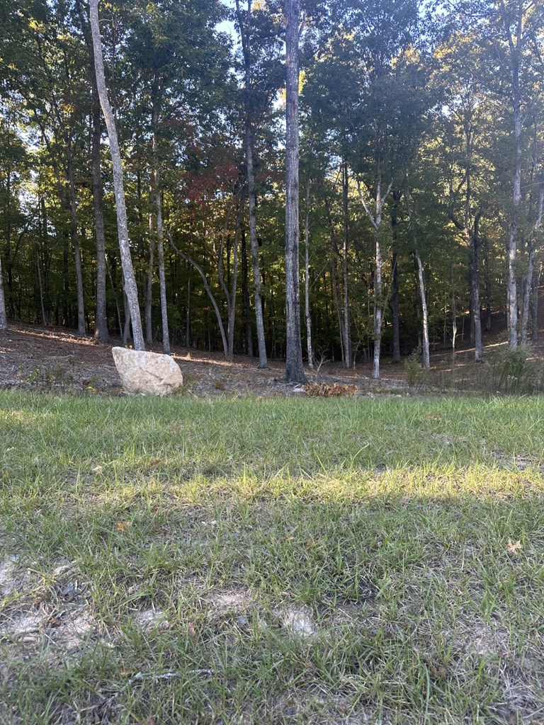 Lot 42 Ridge Drive Morganton, GA 30560 - Photo 6 of 27
