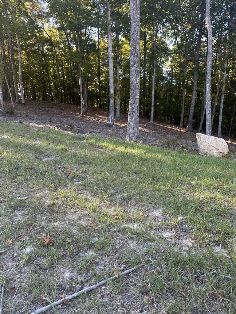 Lot 42 Ridge Drive Morganton, GA 30560 - Photo 7 of 27