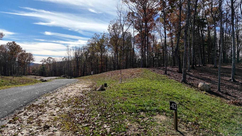 Lot 42 Ridge Drive Morganton, GA 30560 - Photo 9 of 27
