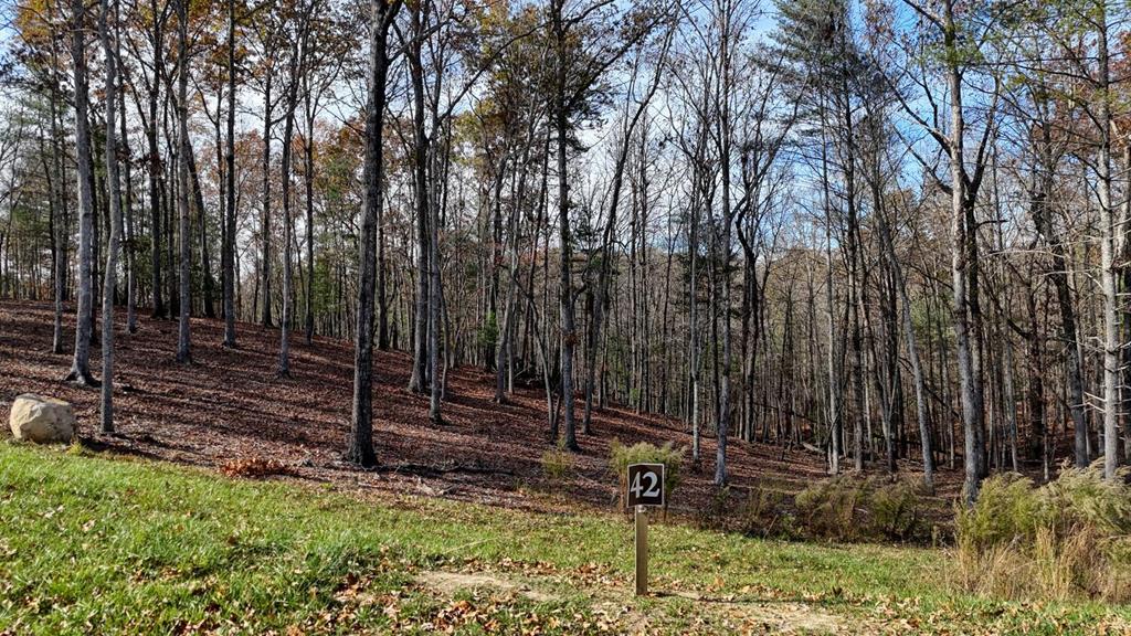 Lot 42 Ridge Drive Morganton, GA 30560 - Photo 10 of 27