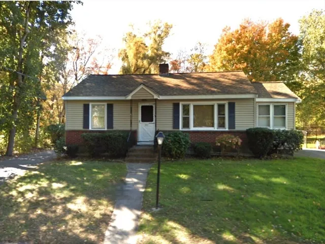 a view of a yard in front of a house with plants and large tree