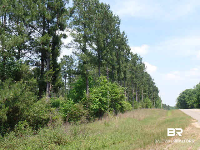 500 County Road 462 Kinston, AL 36453 - Photo 17 of 25