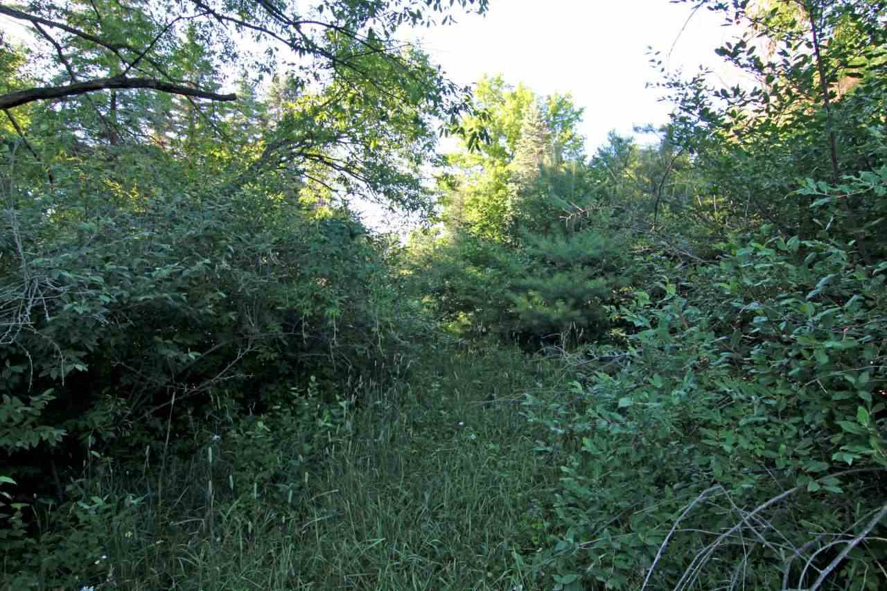 7529 Blue Road Southwest Fife Lake, MI 49633 - Photo 62 of 62 1865960-61.JPG