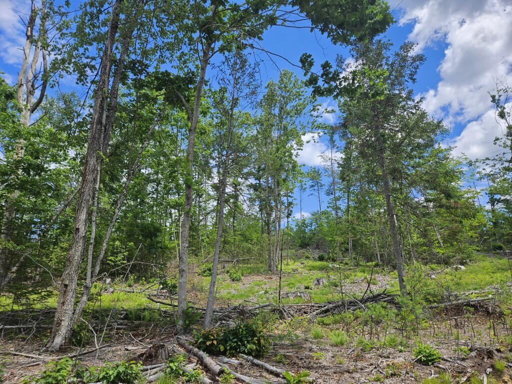 Multiple Quaker Ridge Road Leeds, ME 04263 - Photo 29 of 79 20260624_124545