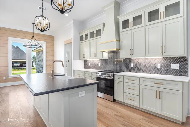 a kitchen with stainless steel appliances granite countertop a stove a sink dishwasher and cabinets with wooden floor