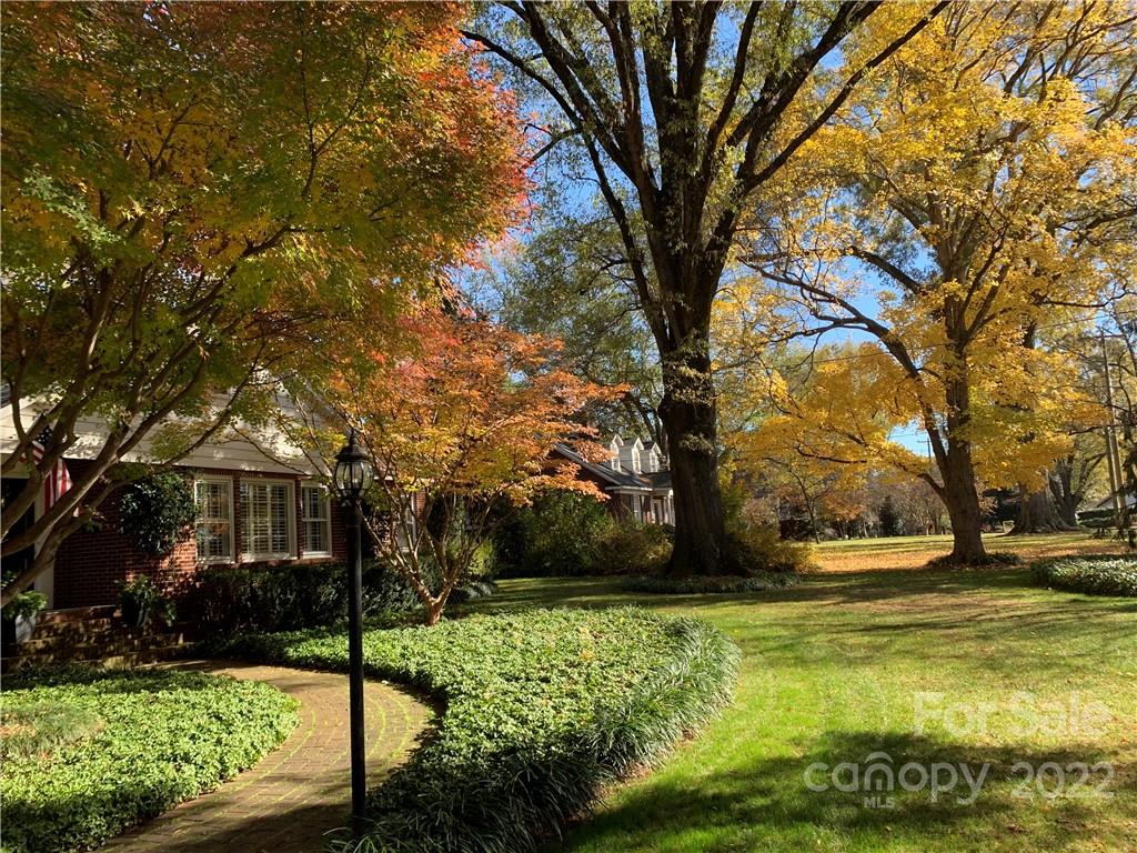 2701 Sharon Road Charlotte, NC 28211 - Photo 40 of 40 a view of swimming pool with large trees