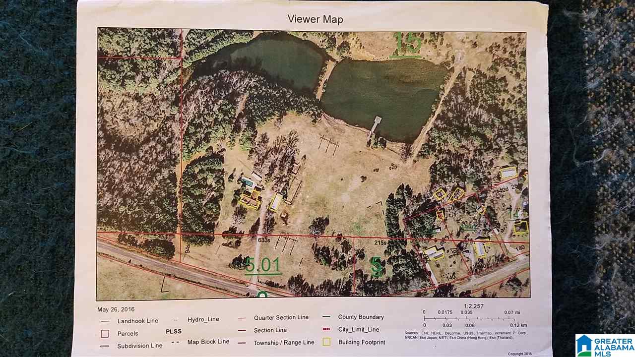 298 Bowerman Road Blountsville, AL 35031 - Photo 6 of 30