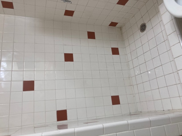 3115 Helms Street, Unit 302 Austin, TX 78705 - Photo 7 of 9 a bathroom with a shower