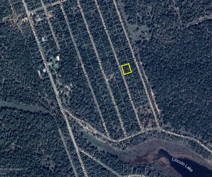 Tbd Hickory Street Paige, TX 78659 - Photo 3 of 3