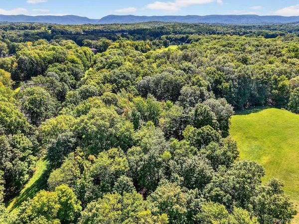 a view of a bunch of plants and trees