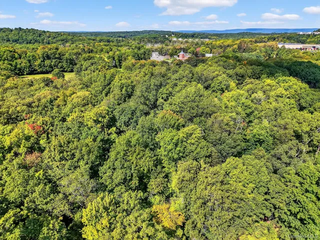 an aerial view of residential houses with outdoor space and trees