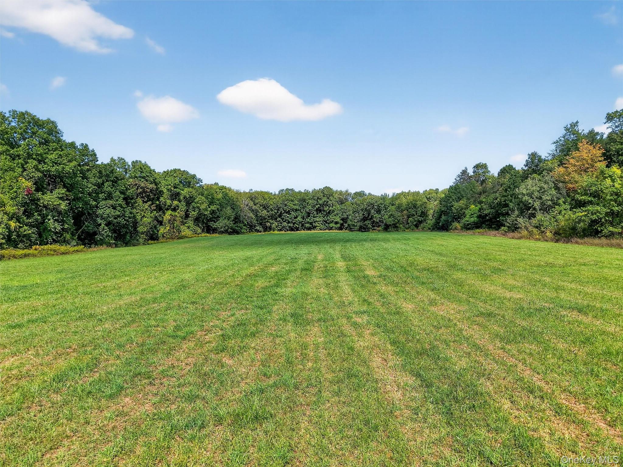 Mt Airy Road New Windsor, NY 12553 - Photo 3 of 23 a view of a green field with trees in the background