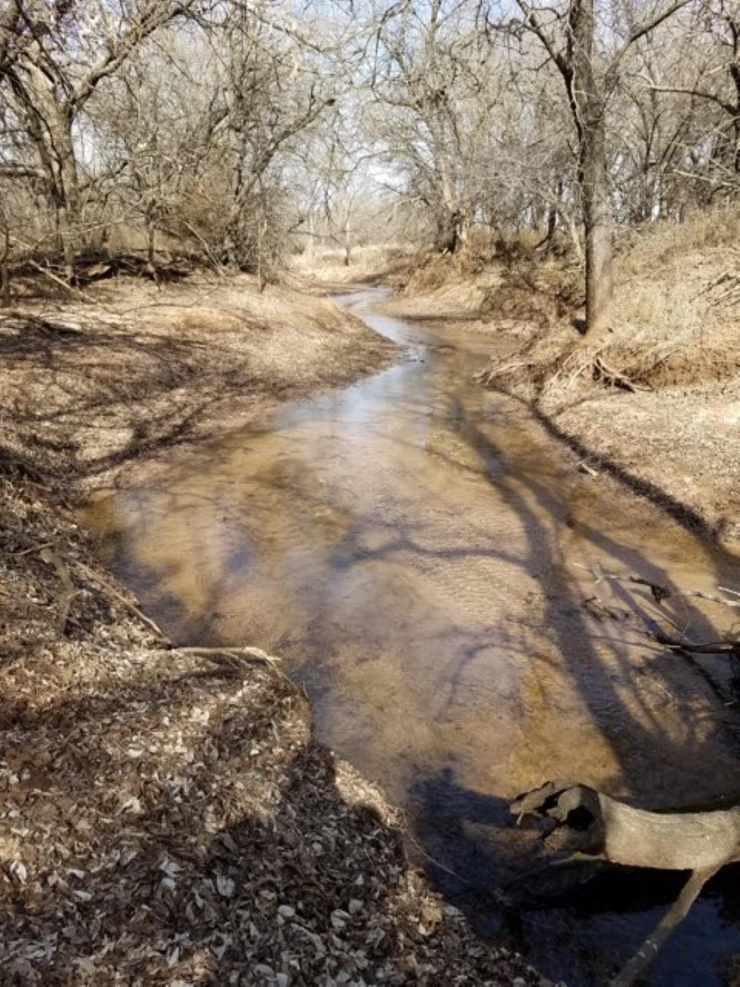 7895 Southeast 100 Avenue Murdock, KS 67111 - Photo 4 of 4