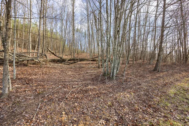 $65,000 | 1920 Raulston Fls Road, Jasper, TN 37347